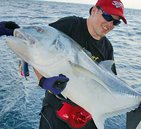 Diesen großen GT kann der Angler kaum stemmen